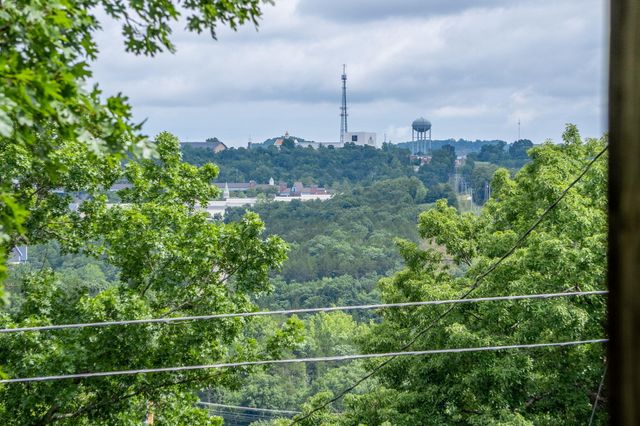 1813 Boswell Avenue, Branson, MO 65616
