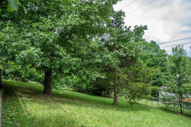 1813 Boswell Avenue, Branson, MO 65616