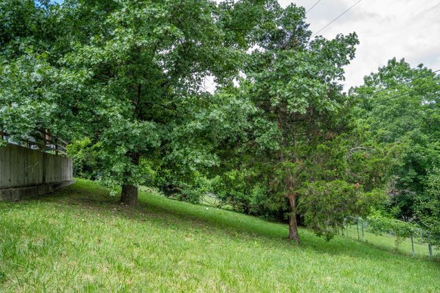 1813 Boswell Avenue, Branson, MO 65616