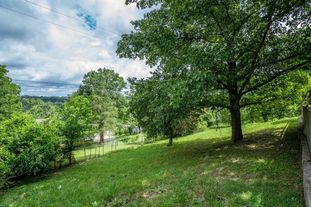 1813 Boswell Avenue, Branson, MO 65616