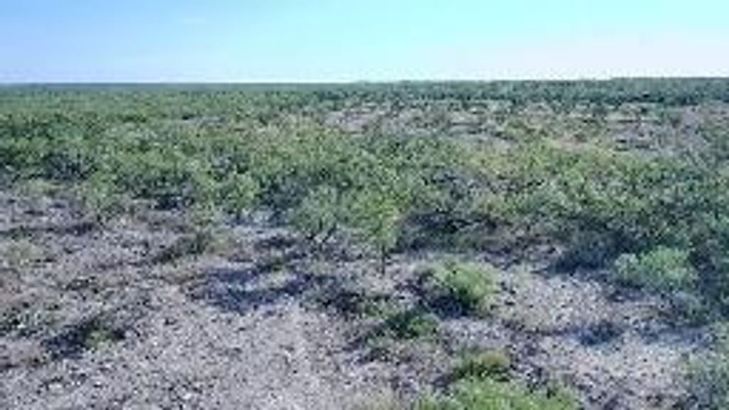 Image 25 of property listing at 12361 Co Rd 1445, Paint Rock, TX 76866
