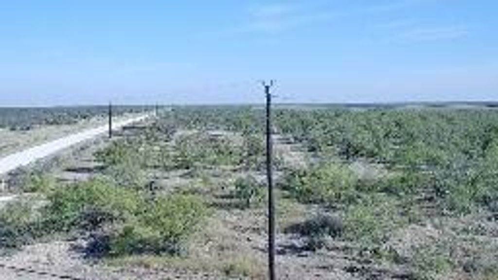 Image 27 of property listing at 12361 Co Rd 1445, Paint Rock, TX 76866