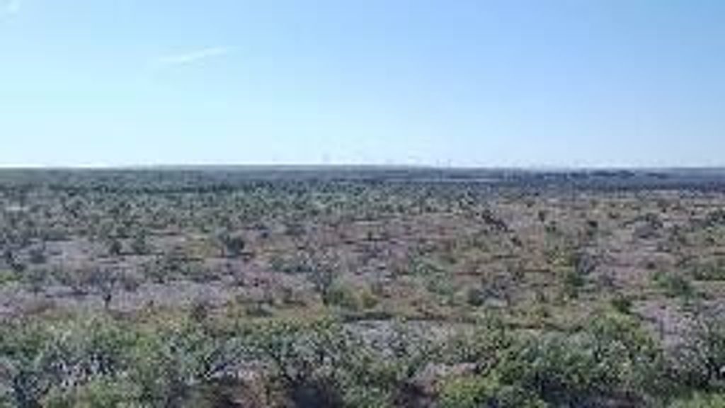 Image 28 of property listing at 12361 Co Rd 1445, Paint Rock, TX 76866