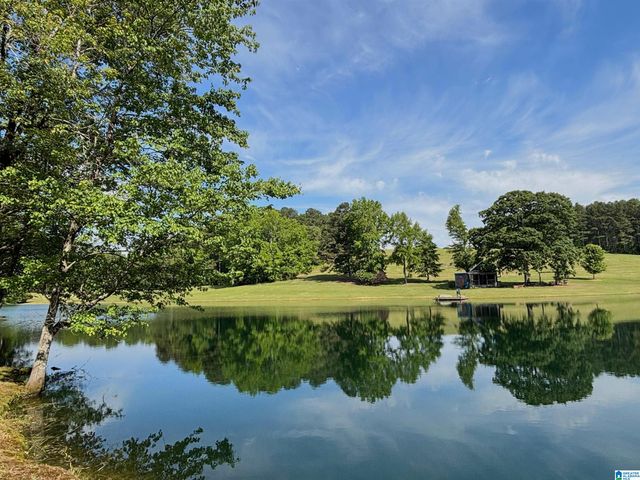 5145 PINE MOUNTAIN ROAD, Remlap, AL 35133
