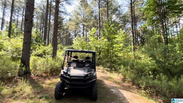 5145 PINE MOUNTAIN ROAD, Remlap, AL 35133