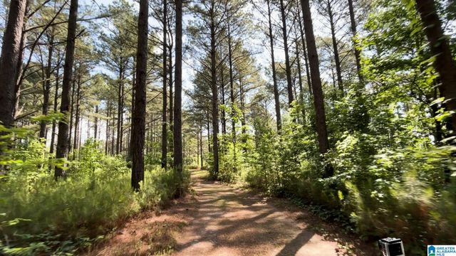 5145 PINE MOUNTAIN ROAD, Remlap, AL 35133