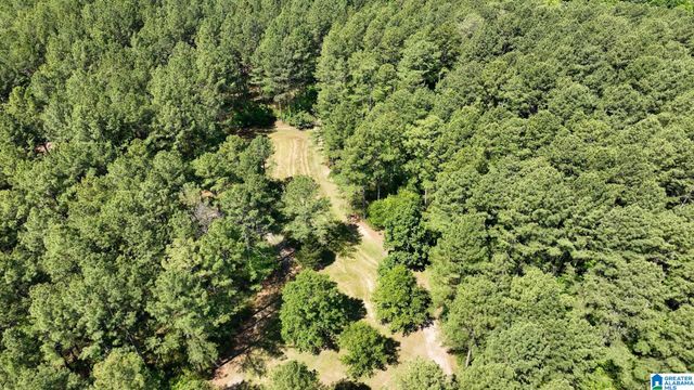 5145 PINE MOUNTAIN ROAD, Remlap, AL 35133