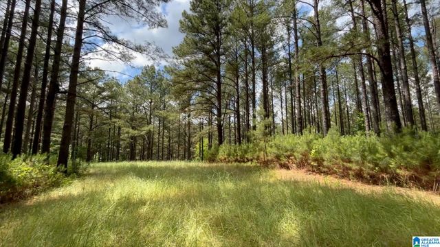5145 PINE MOUNTAIN ROAD, Remlap, AL 35133