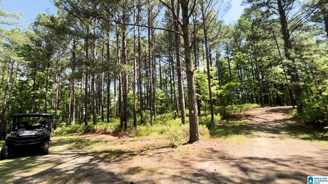 5145 PINE MOUNTAIN ROAD, Remlap, AL 35133