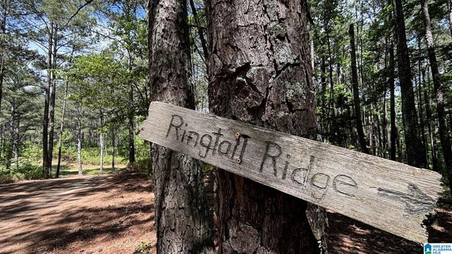 5145 PINE MOUNTAIN ROAD, Remlap, AL 35133