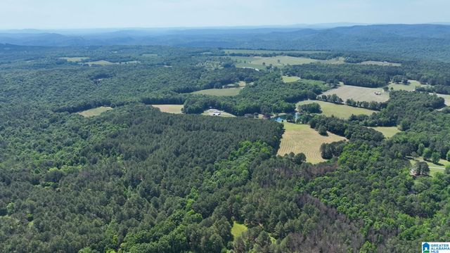 5145 PINE MOUNTAIN ROAD, Remlap, AL 35133