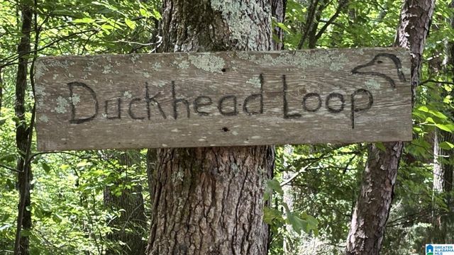 5145 PINE MOUNTAIN ROAD, Remlap, AL 35133