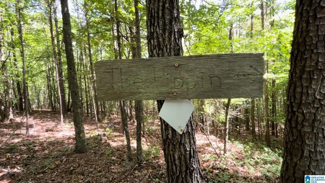 5145 PINE MOUNTAIN ROAD, Remlap, AL 35133