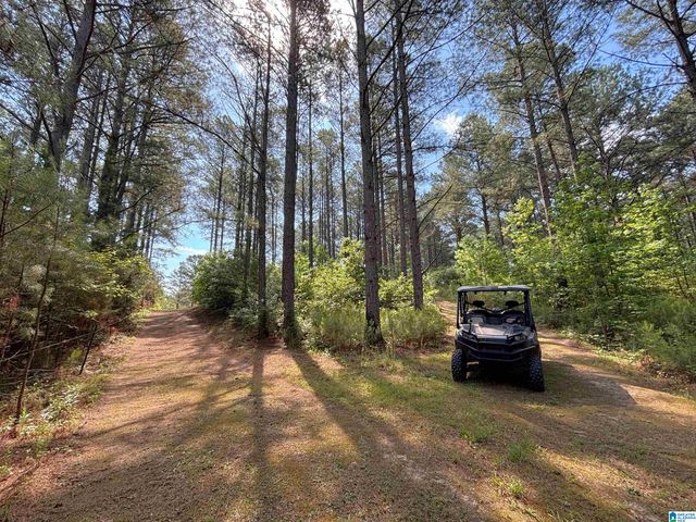 5145 PINE MOUNTAIN ROAD, Remlap, AL 35133