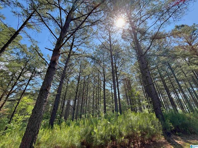 5145 PINE MOUNTAIN ROAD, Remlap, AL 35133