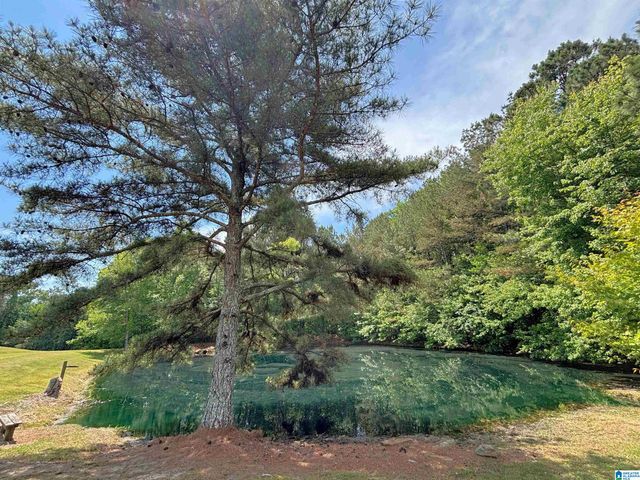 5145 PINE MOUNTAIN ROAD, Remlap, AL 35133