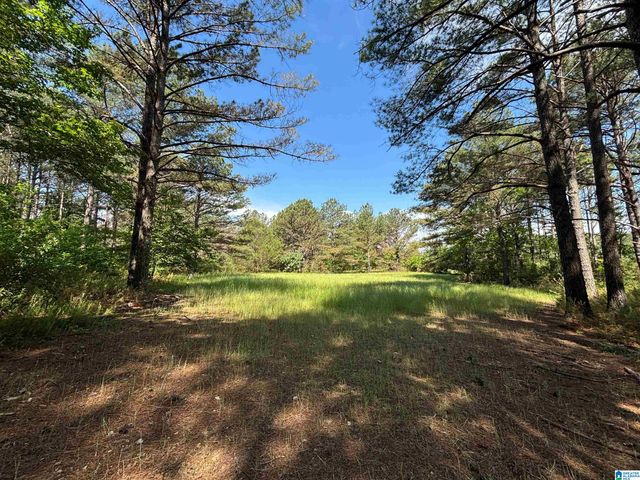 5145 PINE MOUNTAIN ROAD, Remlap, AL 35133