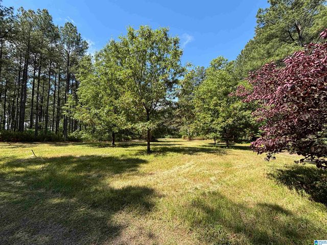 5145 PINE MOUNTAIN ROAD, Remlap, AL 35133