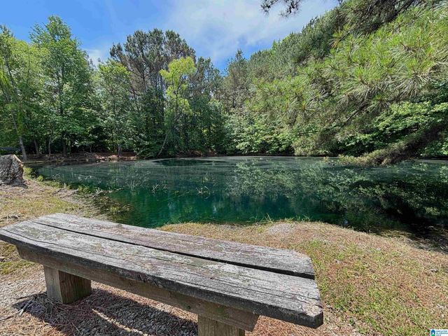 5145 PINE MOUNTAIN ROAD, Remlap, AL 35133