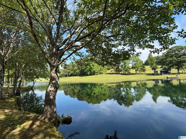 5145 PINE MOUNTAIN ROAD, Remlap, AL 35133
