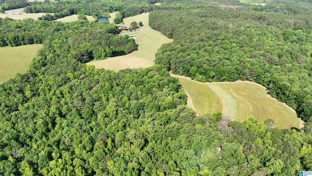 5145 PINE MOUNTAIN ROAD, Remlap, AL 35133