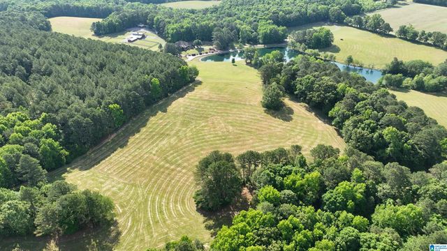 5145 PINE MOUNTAIN ROAD, Remlap, AL 35133