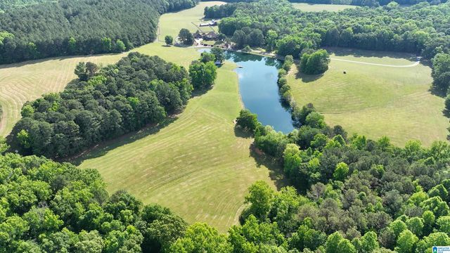 5145 PINE MOUNTAIN ROAD, Remlap, AL 35133