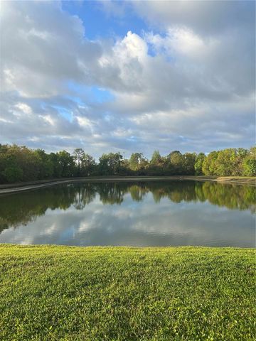 2804 CONCH HOLLOW DRIVE, Brandon, FL 33511