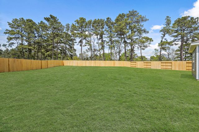 217 Elm Spring Drive, Hockley, TX 77447