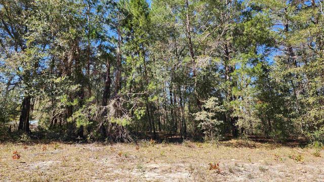 TBD Dawn Ave, Interlachen, FL 32148