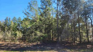 TBD Dawn Ave, Interlachen, FL 32148