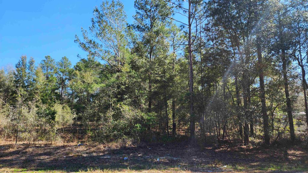 TBD Dawn Ave, Interlachen, FL 32148