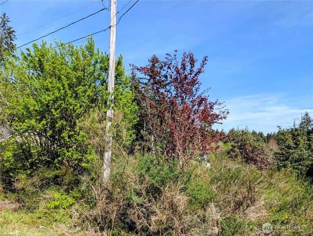 2501 195th Avenue SW, Lakebay, WA 98349