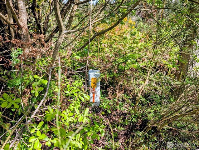 2501 195th Avenue SW, Lakebay, WA 98349