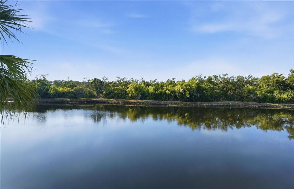 Image 39 of property listing at 1276 SPOONBILL LANDINGS CIRCLE, Bradenton, FL 34209