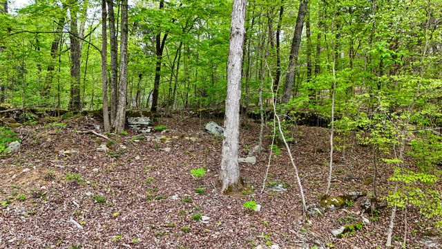 460 N Lake Drive, Burnside, KY 42519