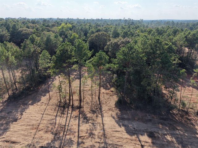TBD Stillwater Cove Court, Montgomery, TX 77316
