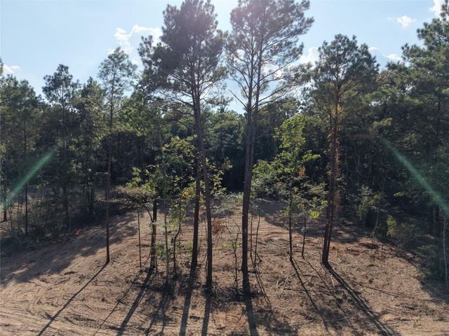 TBD Stillwater Cove Court, Montgomery, TX 77316