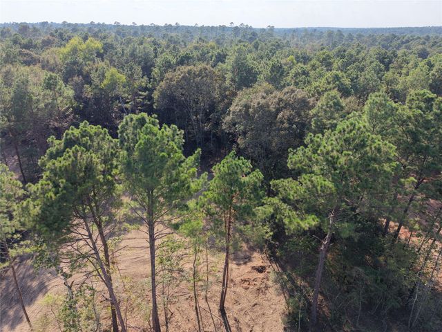 TBD Stillwater Cove Court, Montgomery, TX 77316