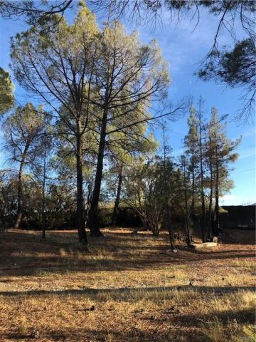 58160 Bliss, Anza, CA 92539