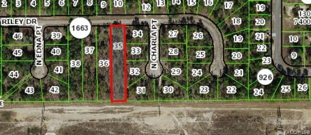 1142 W Riley Drive, Dunnellon, FL 34434