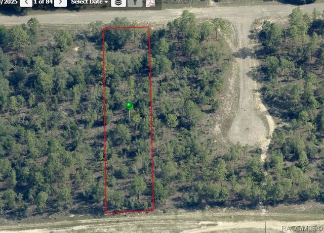 1142 W Riley Drive, Dunnellon, FL 34434