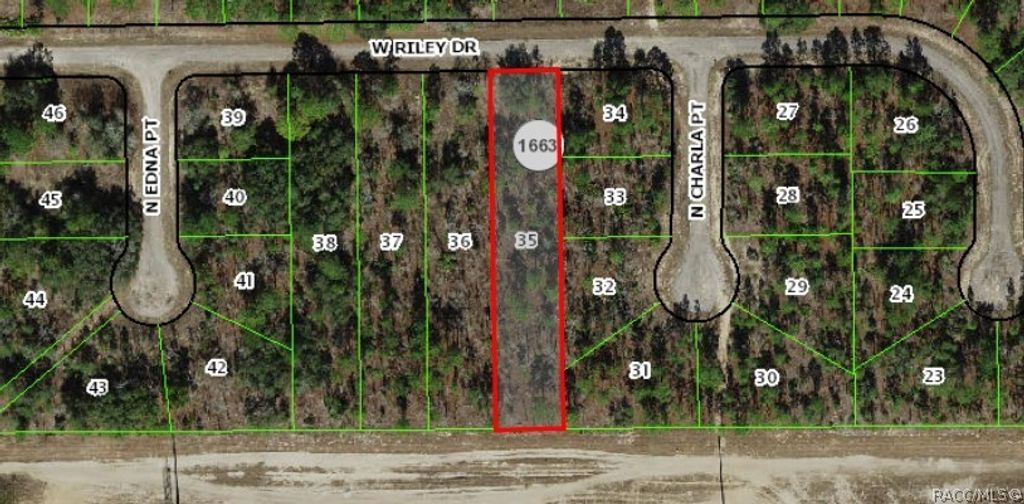 1142 W Riley Drive, Dunnellon, FL 34434