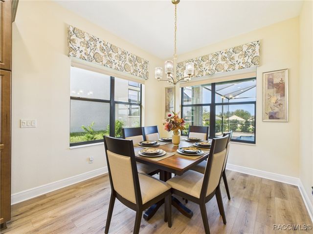 1355 W Greenmeadow Path, Hernando, FL 34442