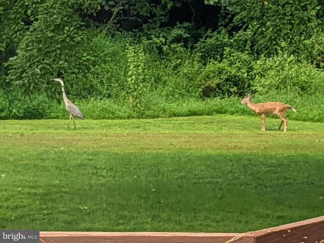 1550 DOE TRAIL LN, Yardley, PA 19067