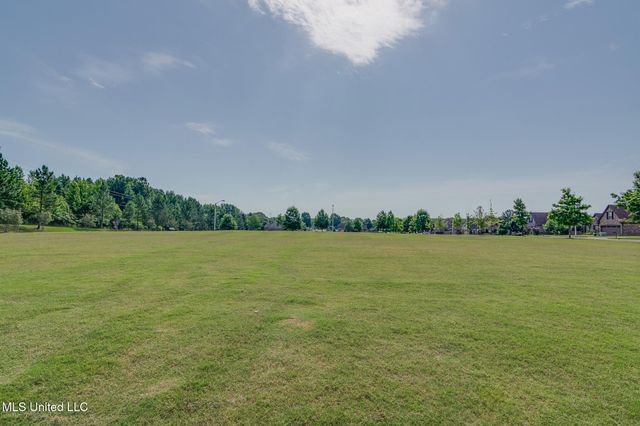 7225 Cowee Lane, Olive Branch, MS 38654