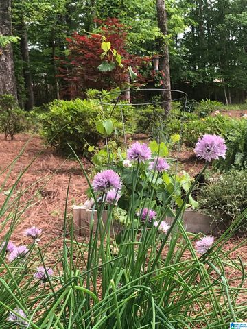 212 BIRKDALE CIRCLE, Pelham, AL 35124