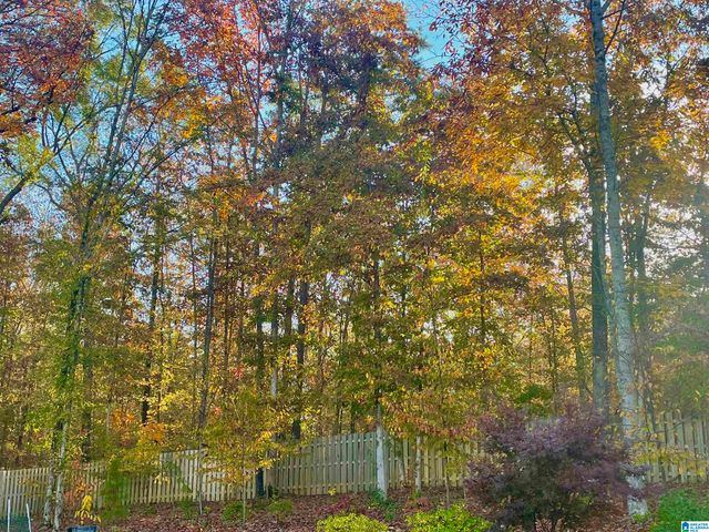 212 BIRKDALE CIRCLE, Pelham, AL 35124