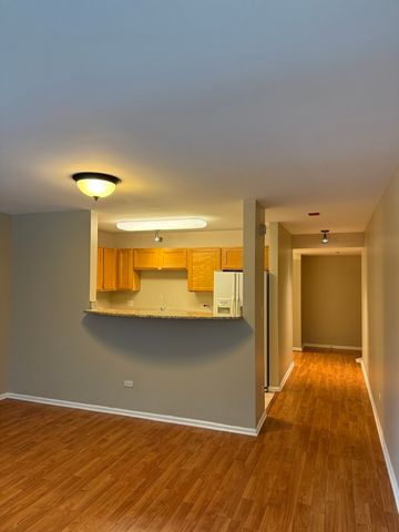 345 N La Salle Drive 209, Chicago, IL 60654