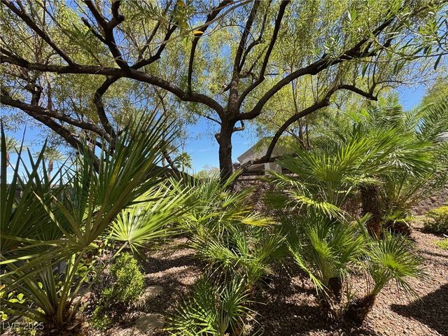 4507 Denaro Drive, Las Vegas, NV 89135